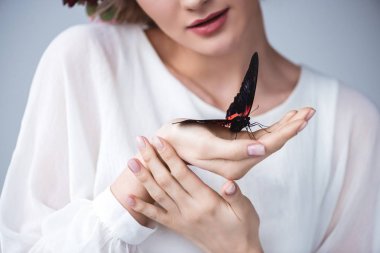cropped view of girl with alive butterfly on hand, isolated on grey clipart