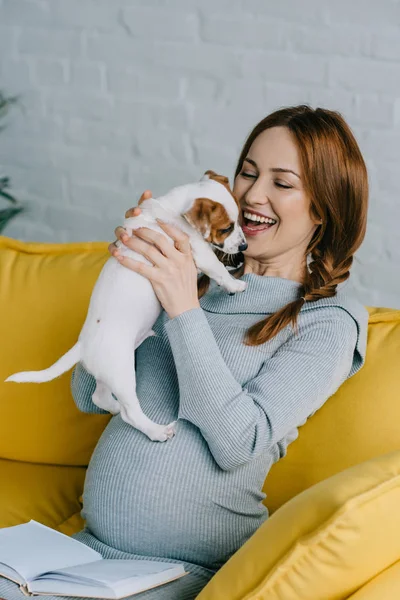 Pregnant with dog — Stock Photo, Image