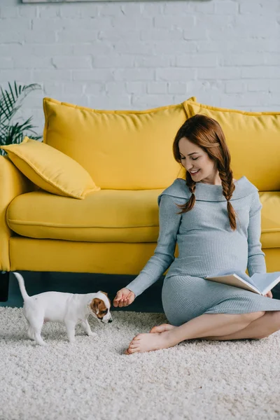 Sonriente Embarazada Mujer Sentado Suelo Con Jack Russell Terrier — Foto de Stock