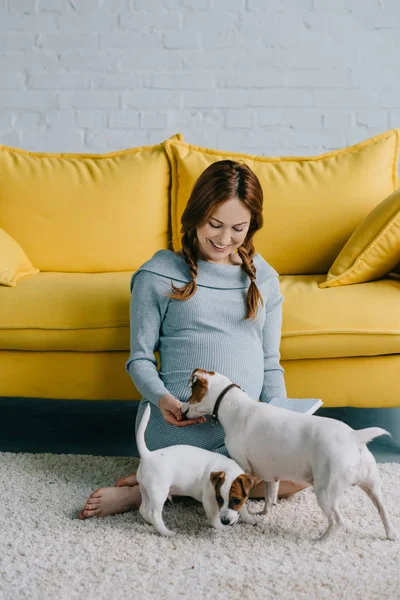 Pregnant playing with dog — Stock Photo, Image