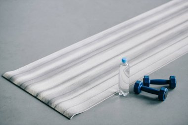 Yoga mat, halter ve plastik şişe su katta