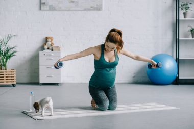 dambıl ile eğitim ve yoga mat oturma odasında köpek yavrusu arıyorum güzel hamile kadın