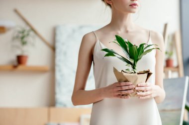 cropped shot of tender young woman holding green potted plant in art studio clipart