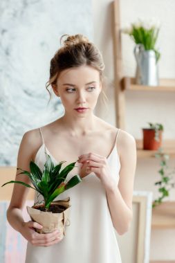 beautiful tender young woman holding potted plant and looking away in art studio clipart