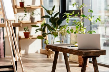 iç sanatçı Studio dizüstü bilgisayar, Saksı bitkileri ve şövale 