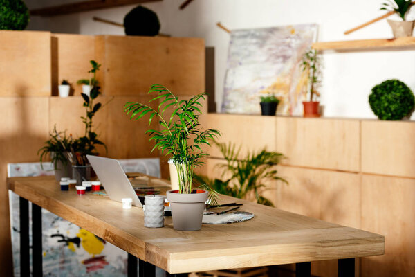 interior of artist studio with painting supplies, laptop and potted plants on wooden table 