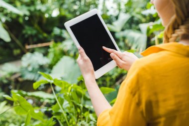 genç kadının açık havada dijital tablet kullanarak atış kırpılmış