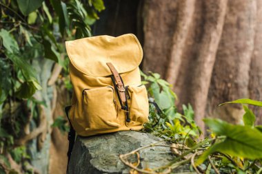 close-up shot of vintage yellow backpack on rock in jungle