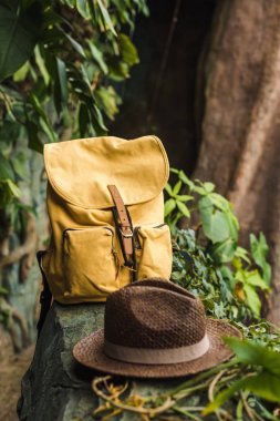 yakın çekim çekim vintage sarı sırt çantası ve ormanda kayada hasır şapka