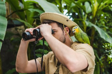 attractive young man with parrot on shoulder looking through binoculars in jungle clipart