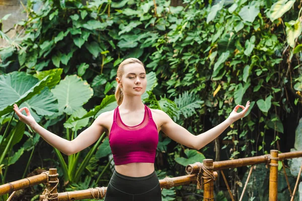 Wanita Muda Yang Cantik Bermeditasi Taman Dan Membuat Mudra Gyan — Stok Foto