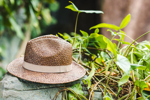 vintage brown straw hat on rock in jungle