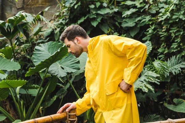 Pria Muda Yang Menarik Dalam Jas Hujan Kuning Hutan — Stok Foto