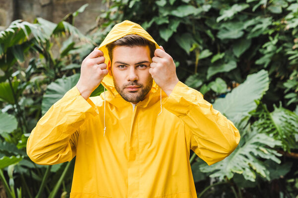 handsome hooded young man in yellow raincoat in jungle