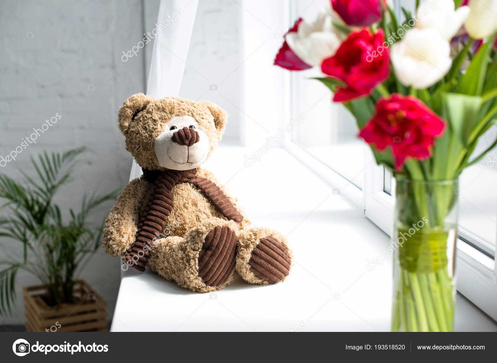 Photos De Ours En Peluche Images De Ours En Peluche Depositphotos