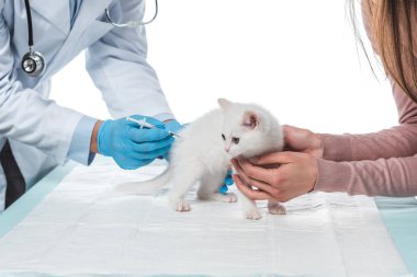 yavru kedi beyaz arka plan üzerinde izole şırınga tarafından enjeksiyon yapıyor veteriner süre tutan kadın kırpılmış görüntü