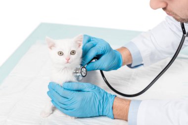 Veteriner muayene yavru kedi beyaz arka plan üzerinde izole stetoskop tarafından kırpılmış görüntü