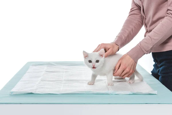 Beyaz Arka Plan Üzerinde Izole Tablo Üzerinde Yavru Kedi Kadınla — Stok fotoğraf