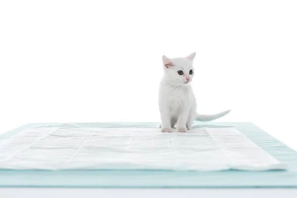 Vista Frontal Del Gatito Sobre Mesa Aislada Sobre Fondo Blanco — Foto de Stock