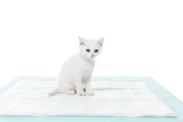 Adorabile Gattino Sul Tavolo Isolato Sfondo Bianco — Foto Stock