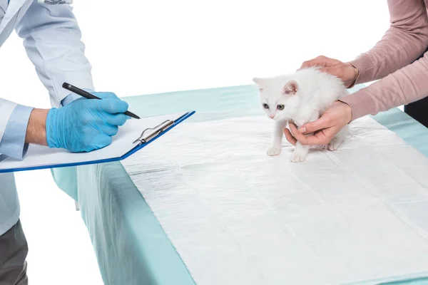 Cropped Image Woman Kitten Male Veterinarian Writing Diagnosis Clipboard Isolated — Stock Photo, Image