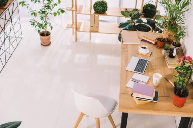 iç iş ofis bitkileri ile yüksek açılı görünüş