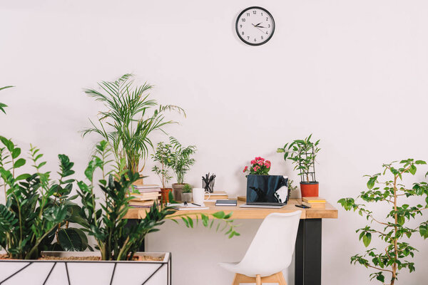 wooden table with potted plants and chair in workplace