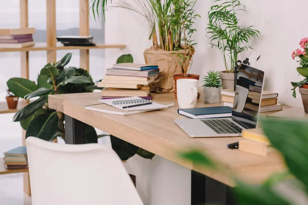 Laptop Mesa Madeira Com Plantas Vaso Espaço Trabalho — Fotografia de Stock