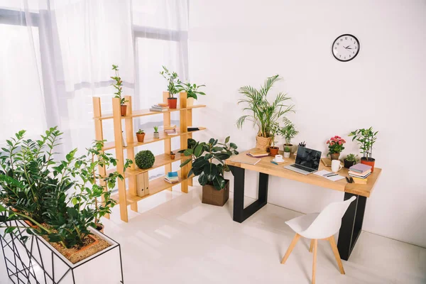 Интерьер Бизнес Офиса Зелеными Растениями — стоковое фото