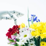 机器人手臂特写图和美丽的彩色花朵被隔绝在白色