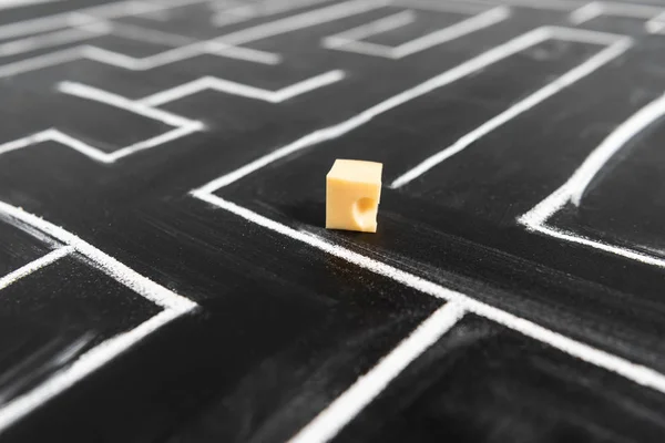 Selective Focus Cut Cheese Painted Labyrinth — Stock Photo, Image