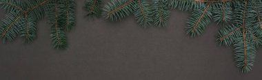 panoramic shot of christmas frame with spruce branches on black clipart