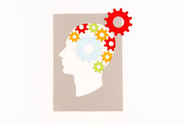 Top View Human Head Silhouette Gears Isolated White — Stock Photo, Image