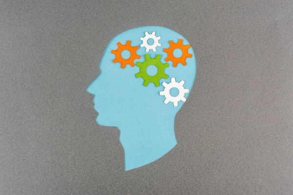 top view of cut out blue human head with colorful gears isolated on grey