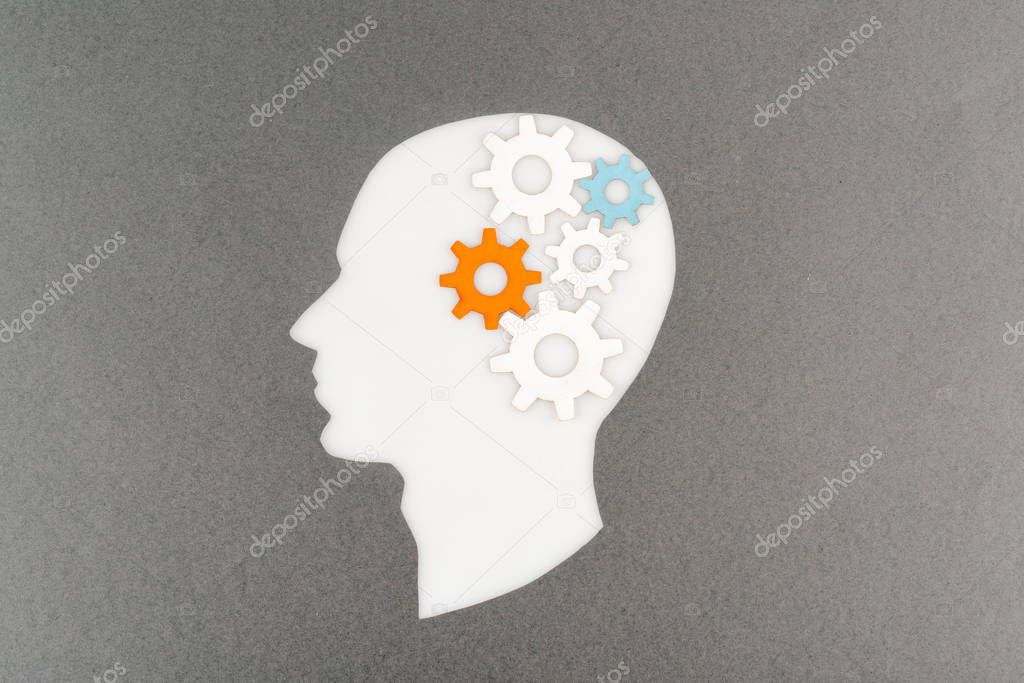 top view of cut out white human head with colorful gears isolated on grey
