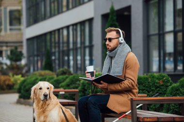 Blind man in headphones holding book and thermo mug on bench beside guide dog  clipart
