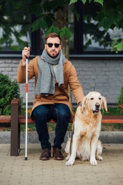 Blind man with walking stick sitting on bench beside guide dog clipart