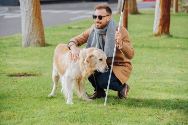 Smiling blind man with walking stick petting guide dog on lawn clipart