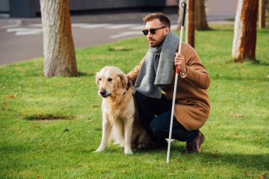 Yürüyen sopayla kör adam ve çimenlikte rehber köpek. 