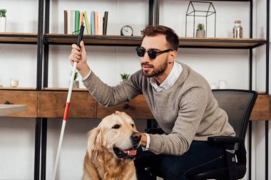 Blind man with walking stick petting golden retriever at home clipart