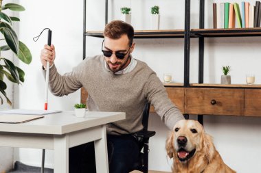 Kör adam baston tutuyor ve Golden Retriever 'ı evde okşuyor.