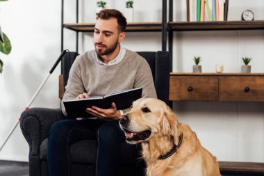 Golden Retriever 'ın seçici odağı evde oturup kitap okuyan kör bir adamın yanında oturuyor.