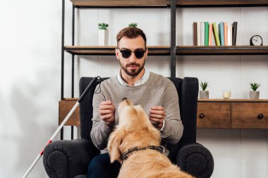 Visually impaired man playing with golden retriever at home clipart