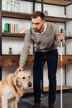 Elinde baston olan görme engelli bir adam Golden Retriever 'ı evinde okşuyor.