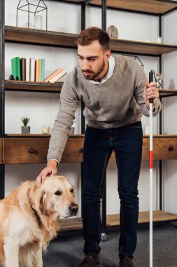 Visually impaired man with walking stick stroking golden retriever at home clipart