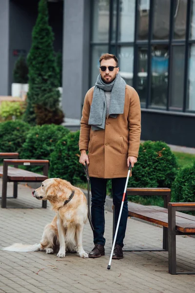 Blinder Mann Mit Spazierstock Und Blindenhund Park — Stockfoto