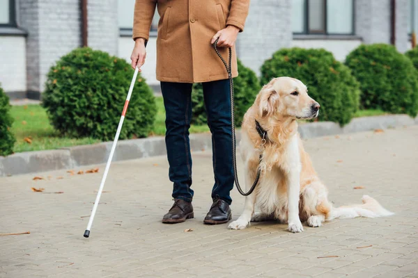 带着导盲犬和手杖走在城市街道上的盲人的剪影 — 图库照片