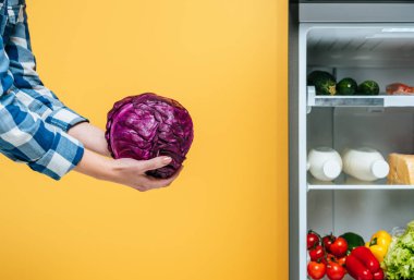 Kırpılmış görüntüde, açık buzdolabının yanında kırmızı lahana tutan bir kadın ve sarı raflarda taze yiyecekler var. 