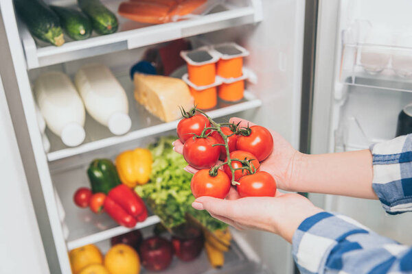 cropped view of woman holding tomatoes near open fridge with fresh food on shelves