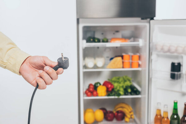 cropped view of man holding unplugged power cord of fridge isolated on white
